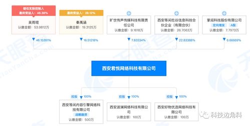 掌閱科技戰(zhàn)略入股西安君悅網(wǎng)絡(luò) 6.67%股權(quán)布局計(jì)算機(jī)軟硬件開(kāi)發(fā)新賽道